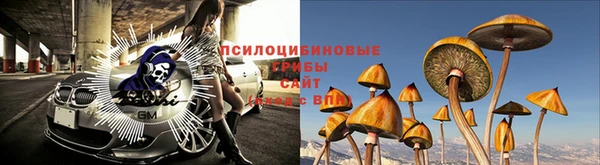дурь Карпинск