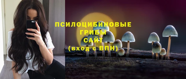 дурь Карпинск