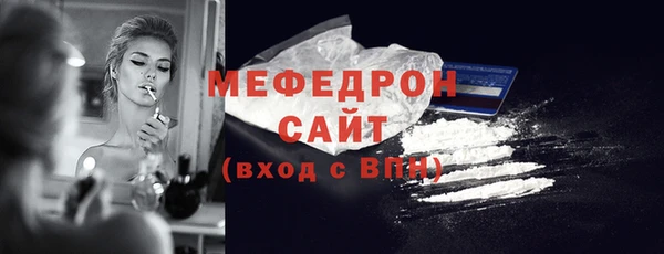 индика Козельск