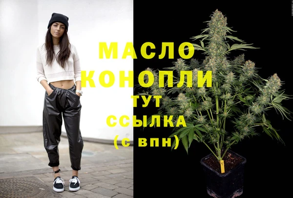 индика Козельск