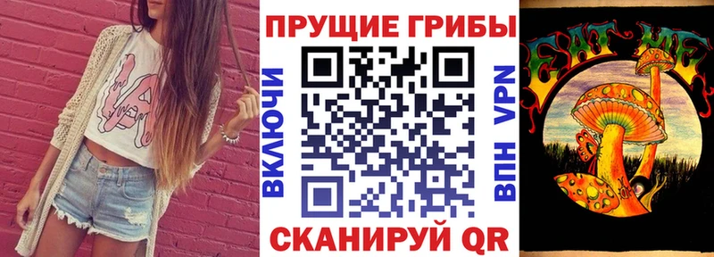 Псилоцибиновые грибы Psilocybe  Купить где  Балтийск 